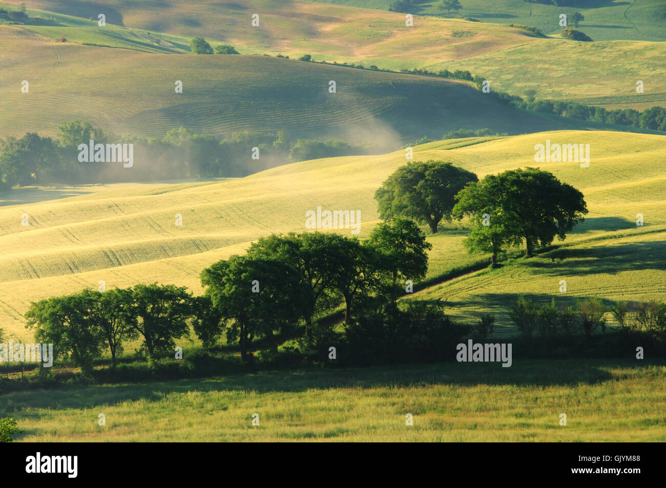 toskana huegel - tuscany hills 17 Stock Photo