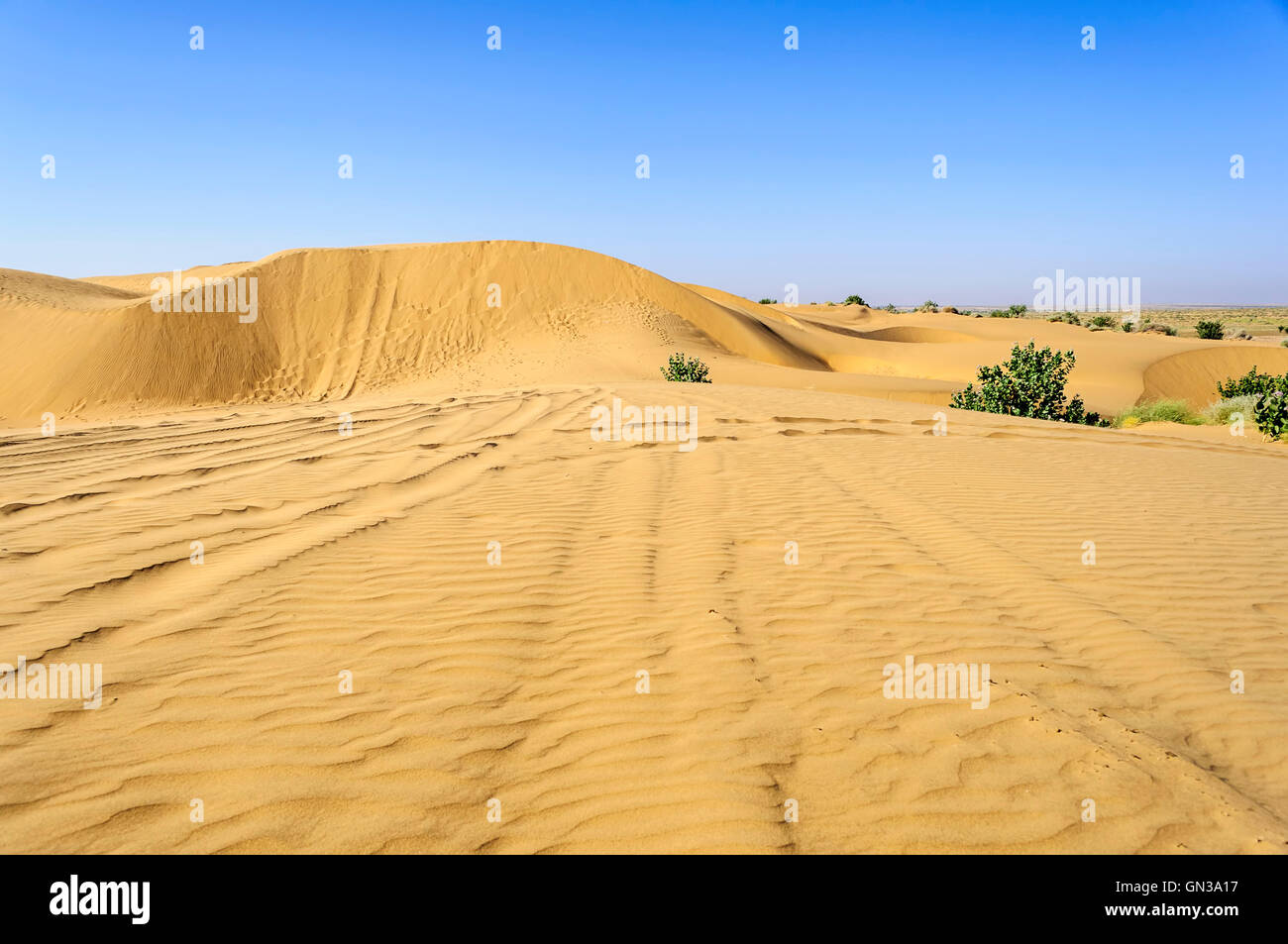 Landscape Sand dunes, SAM dunes, ripples, Desert National Park of Thar Desert of India with copy space Stock Photo