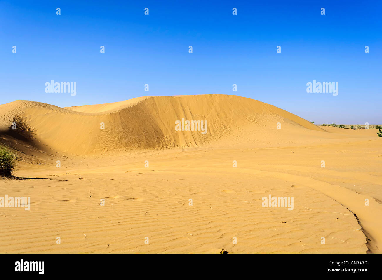 Landscape Sand dunes, SAM dunes, ripples, Desert National Park of Thar Desert of India with copy space Stock Photo