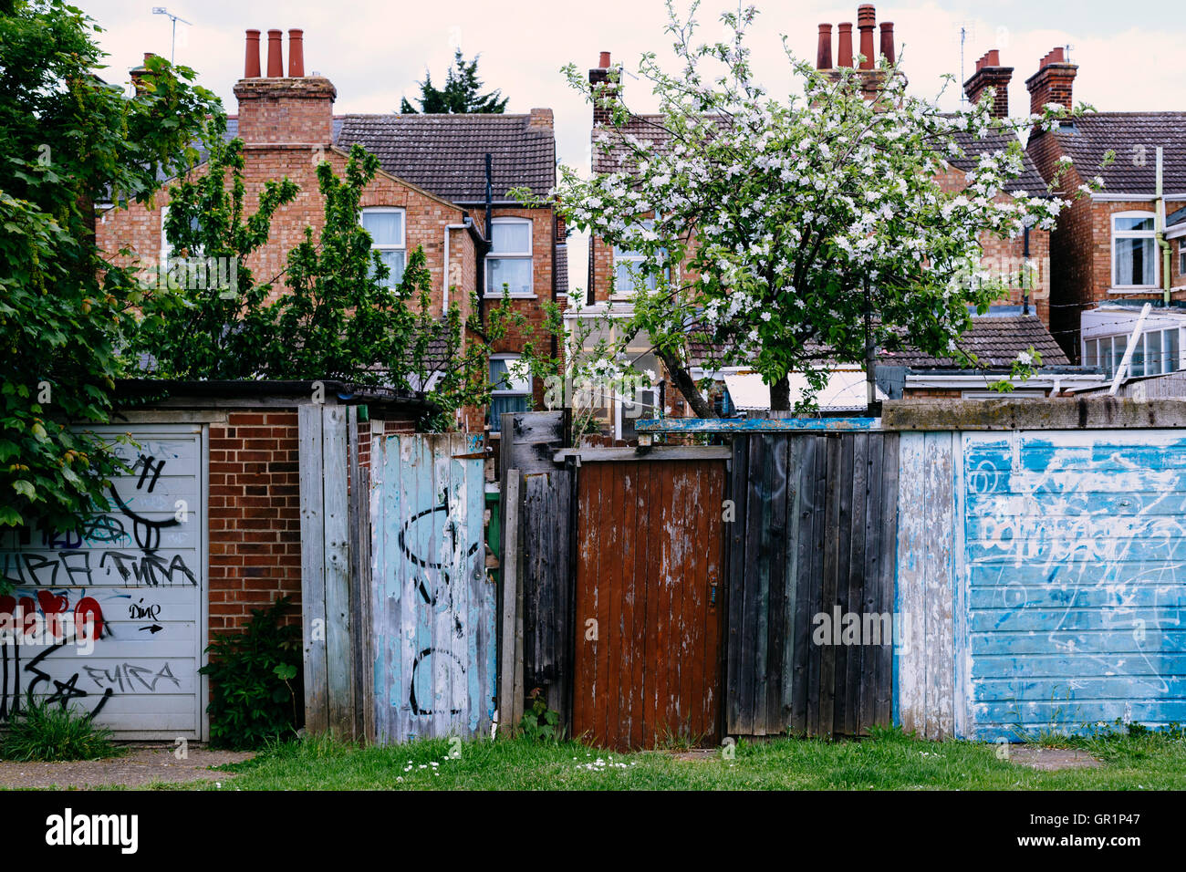 Back garden walls and fences to terraced houses Stock Photo