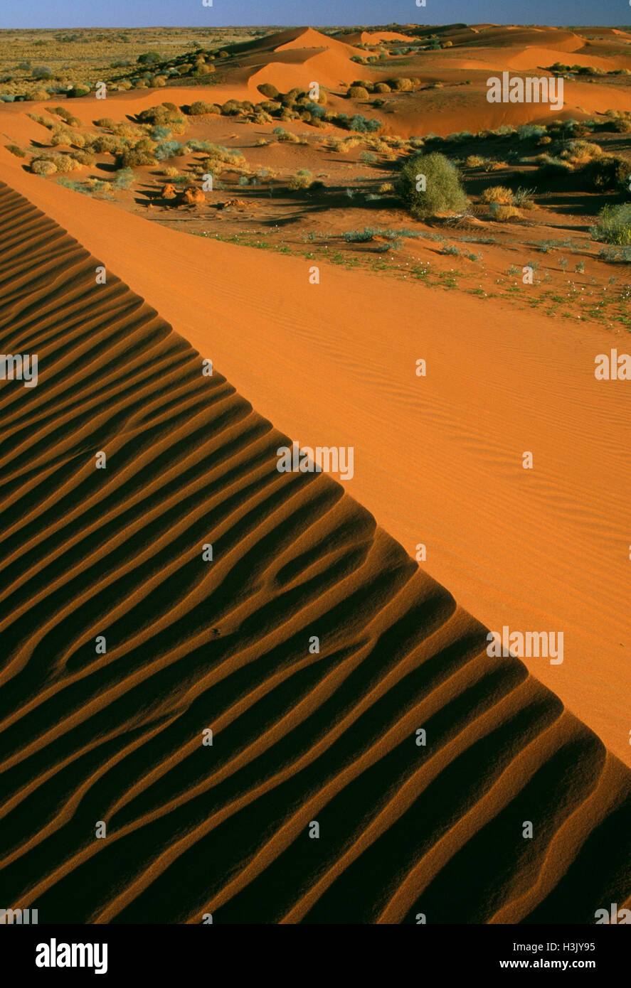 Sand dunes, Stock Photo