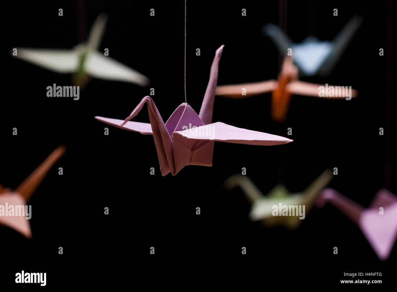 Origami Crane colored paper on a black background Stock Photo