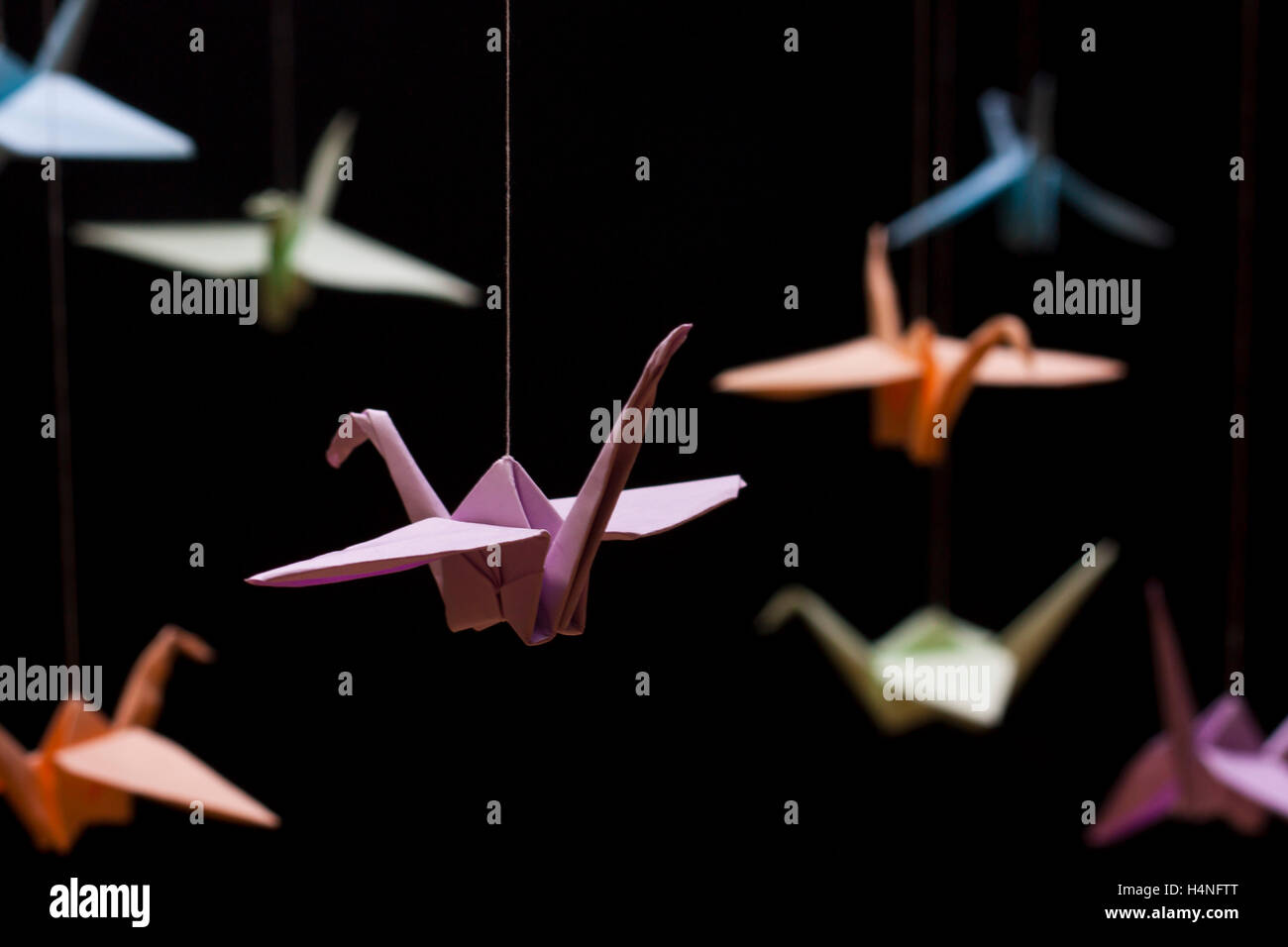 Origami Crane colored paper on a black background Stock Photo