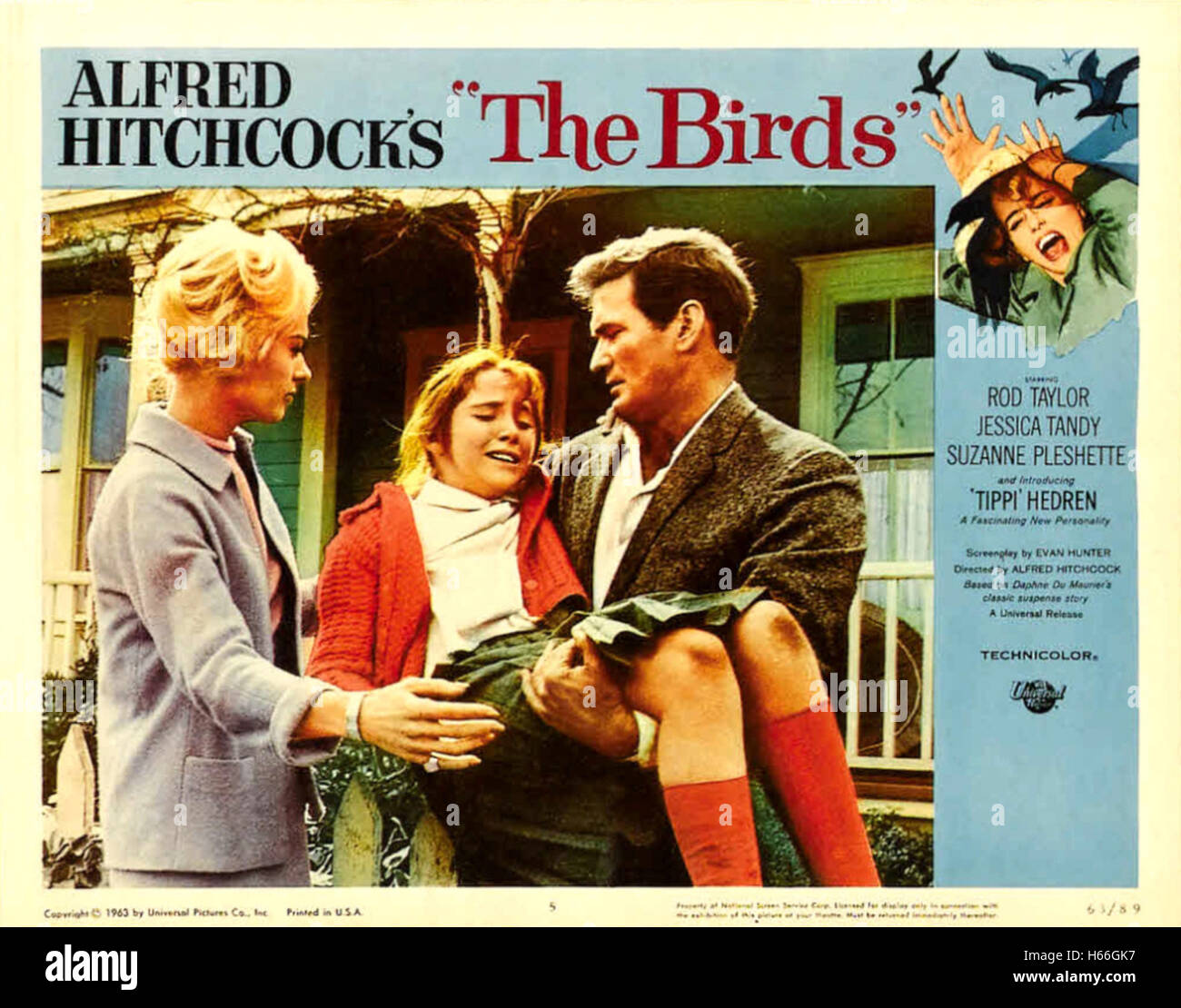 The Birds - Movie Poster - Stock Photo