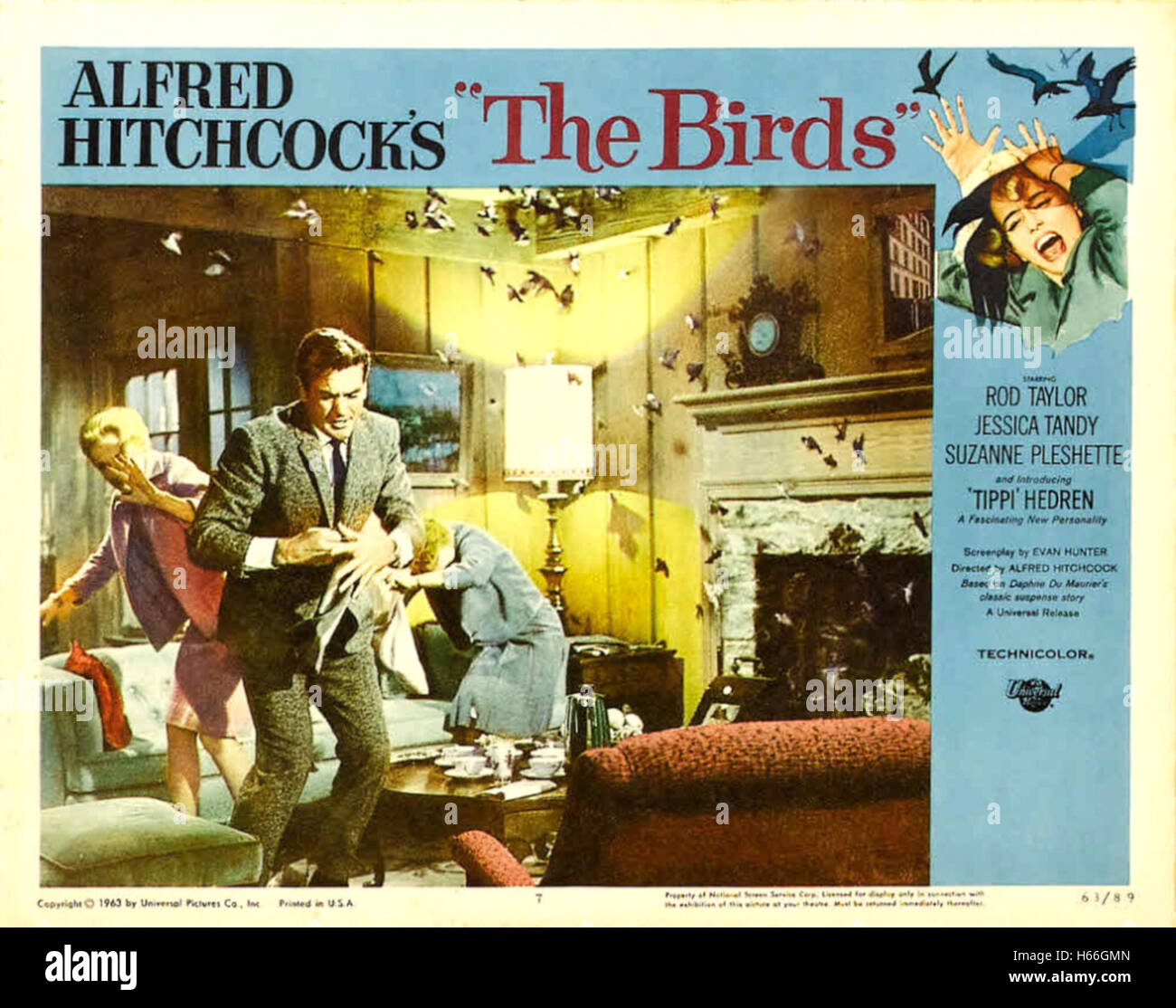 The Birds - Movie Poster - Stock Photo