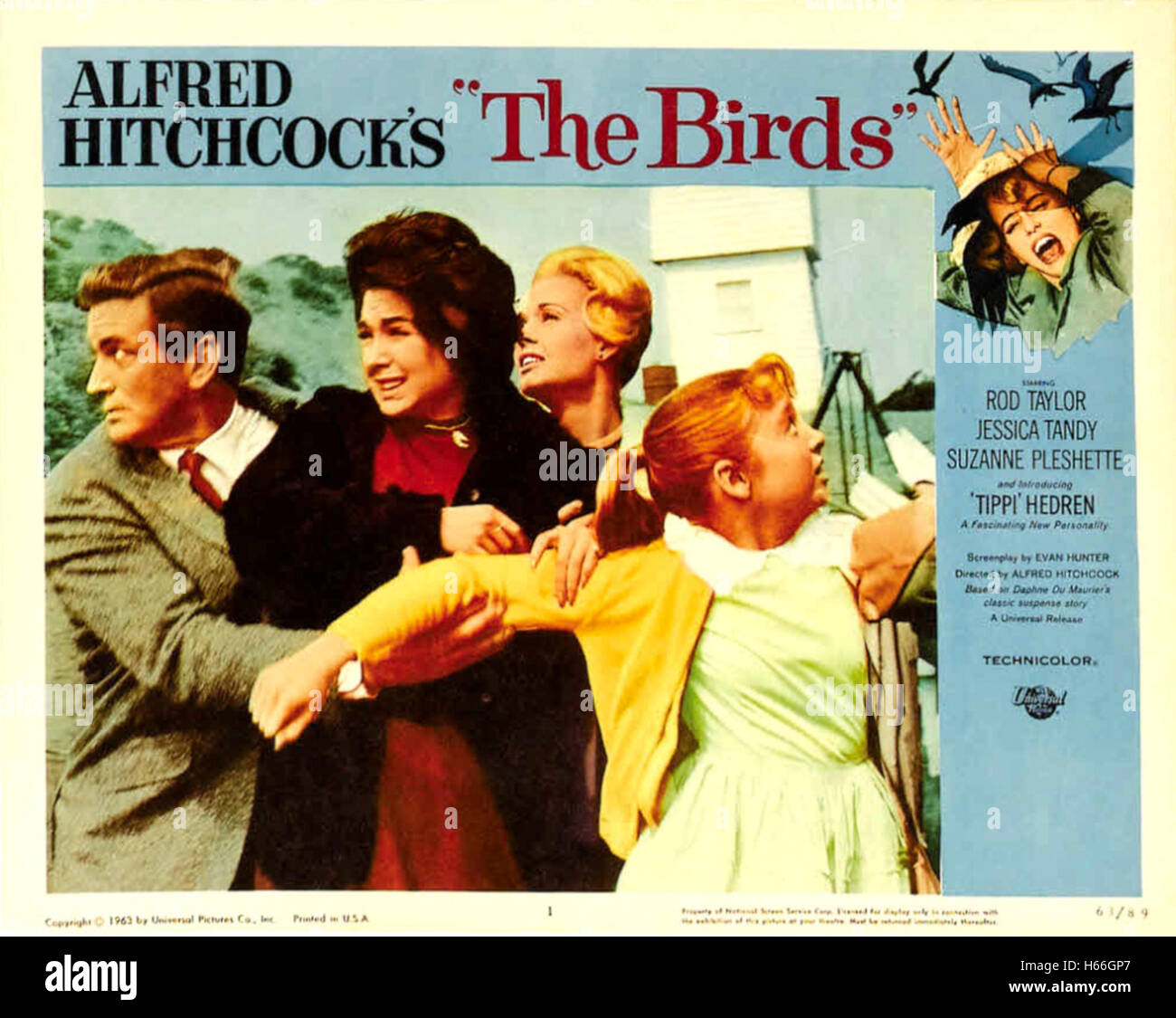 The Birds - Movie Poster - Stock Photo