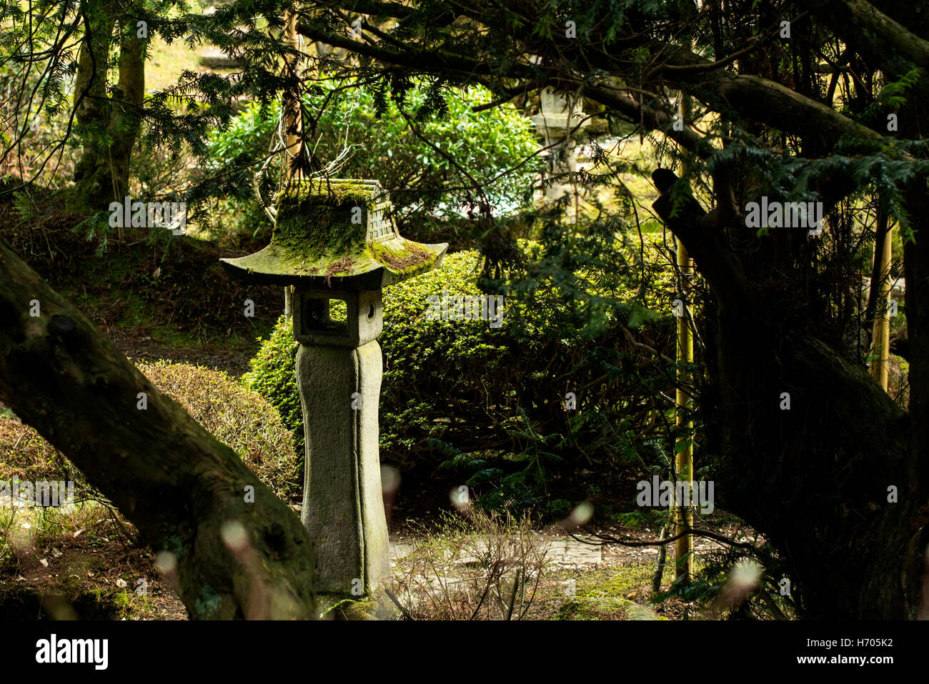 Garden full of green Stock Photo