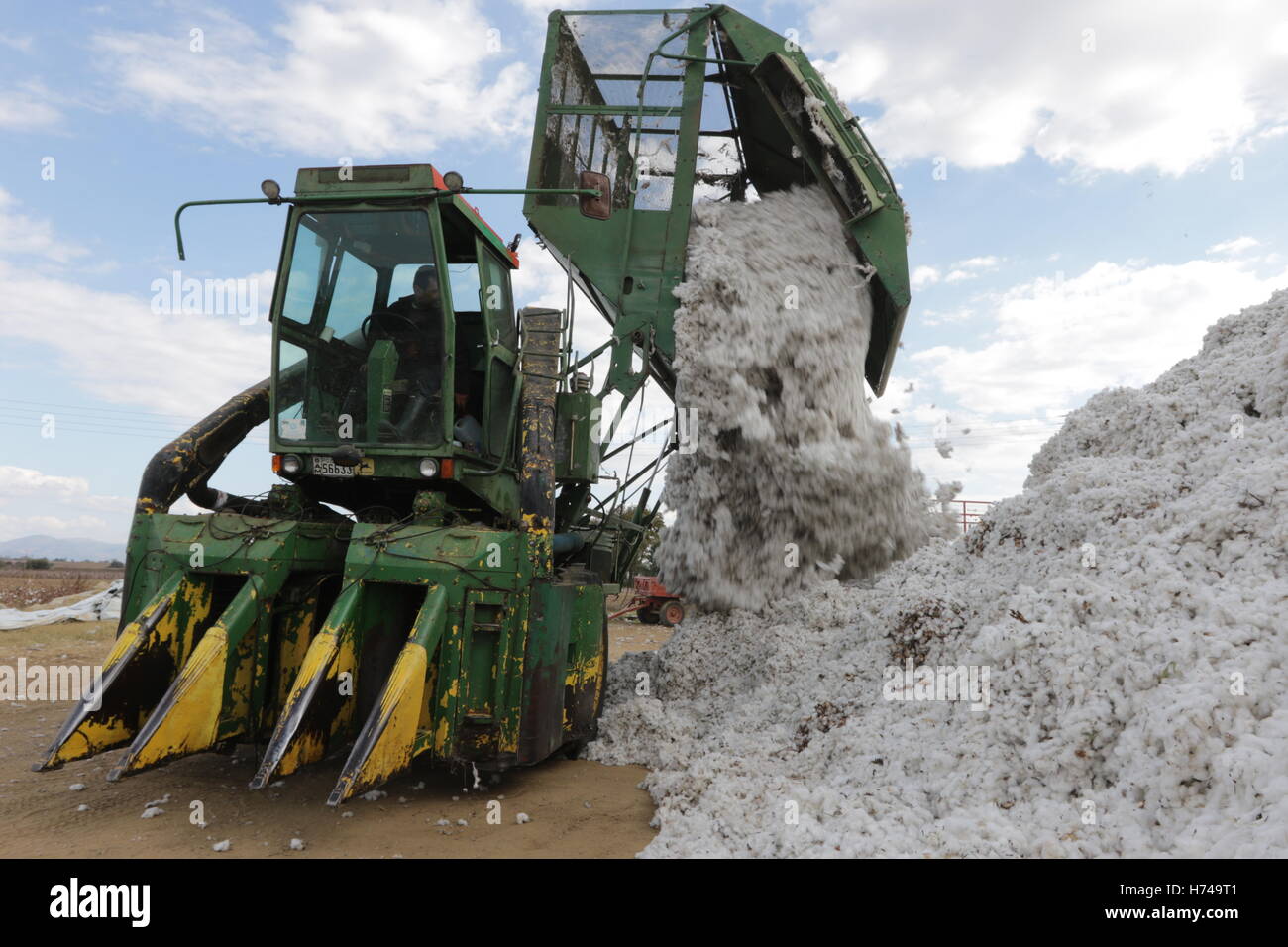 Agriculture - A John Deere cotton stripper machine unloads freshly harvested cotton in Thrace, Greece. Stock Photo