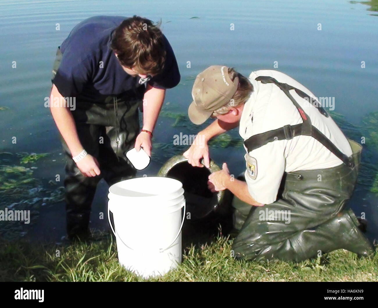 eddiesfisheriesfws 14543278896 Rick & Ian checking for channel catfish eggs at Uvalde NFH, TX Stock Photo