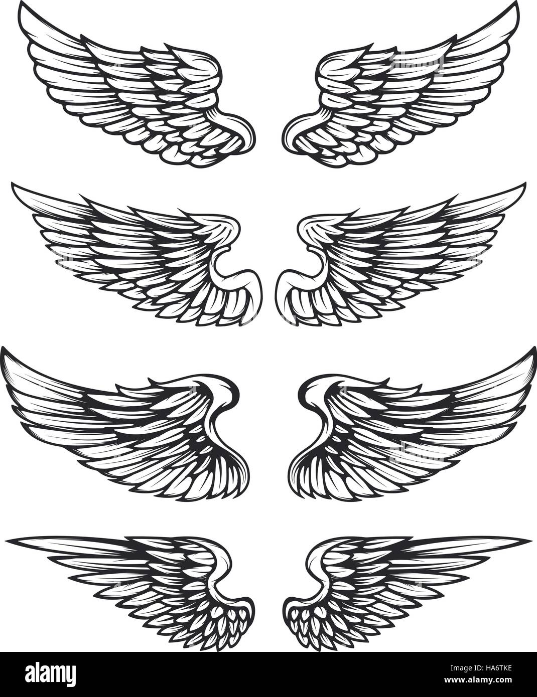 Set of vintage vector wings isolated on white background. Design Stock Vector