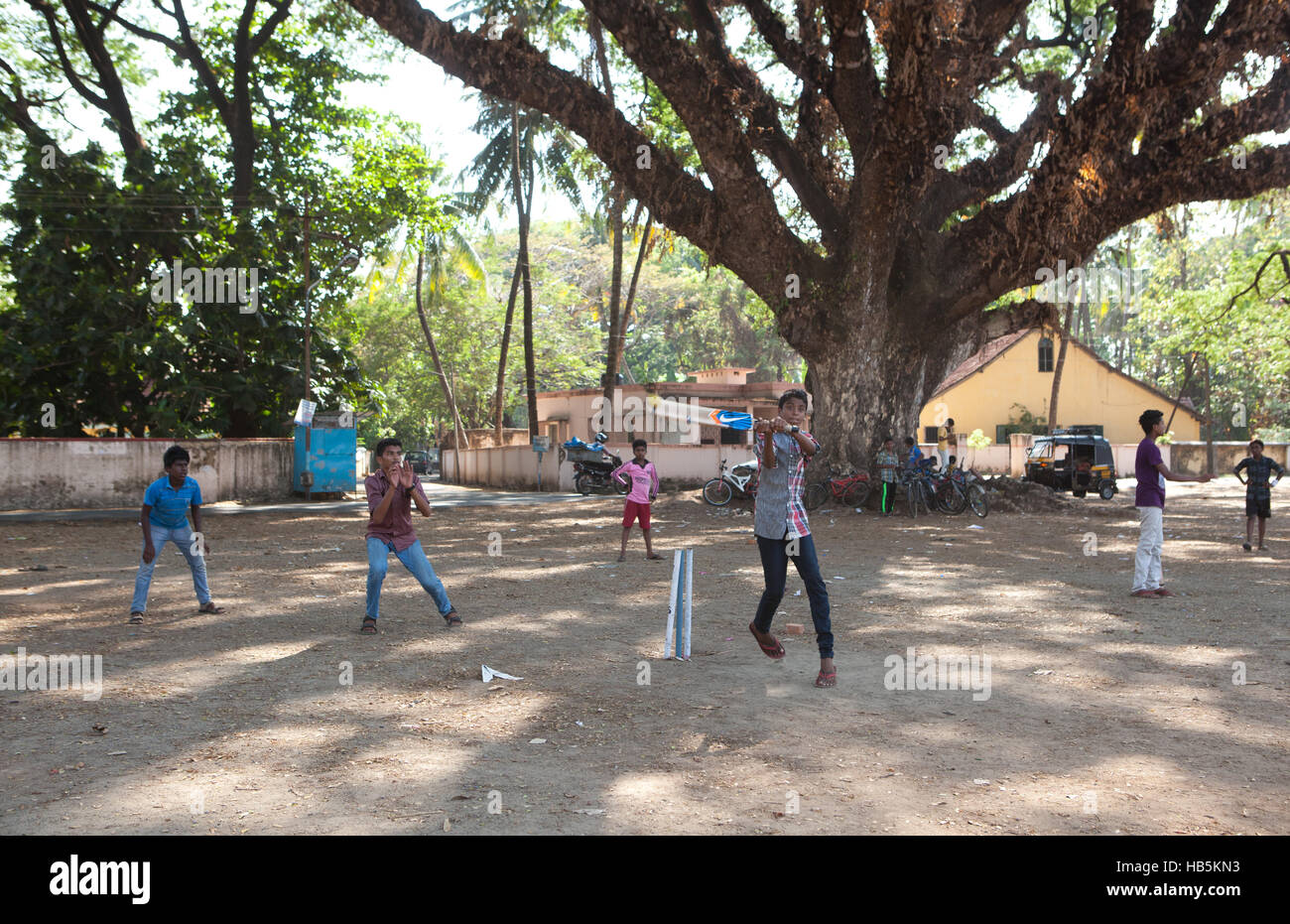 Boys playing cricket in the shade of a big tree in Fort Kochi (Cochin), Kerala,India Stock Photo