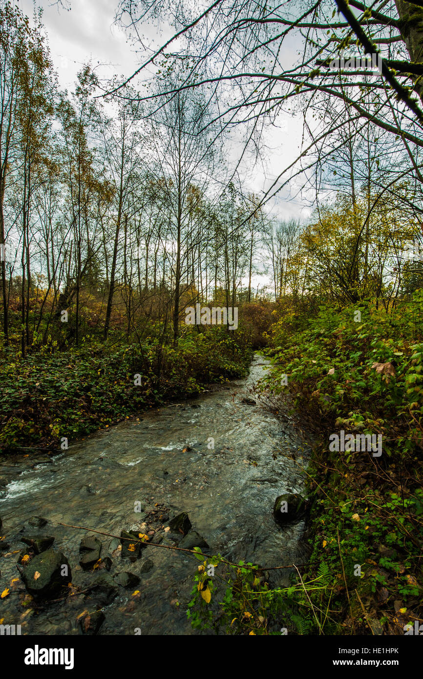 Stoney Creek, Burnaby; BC. Stock Photo