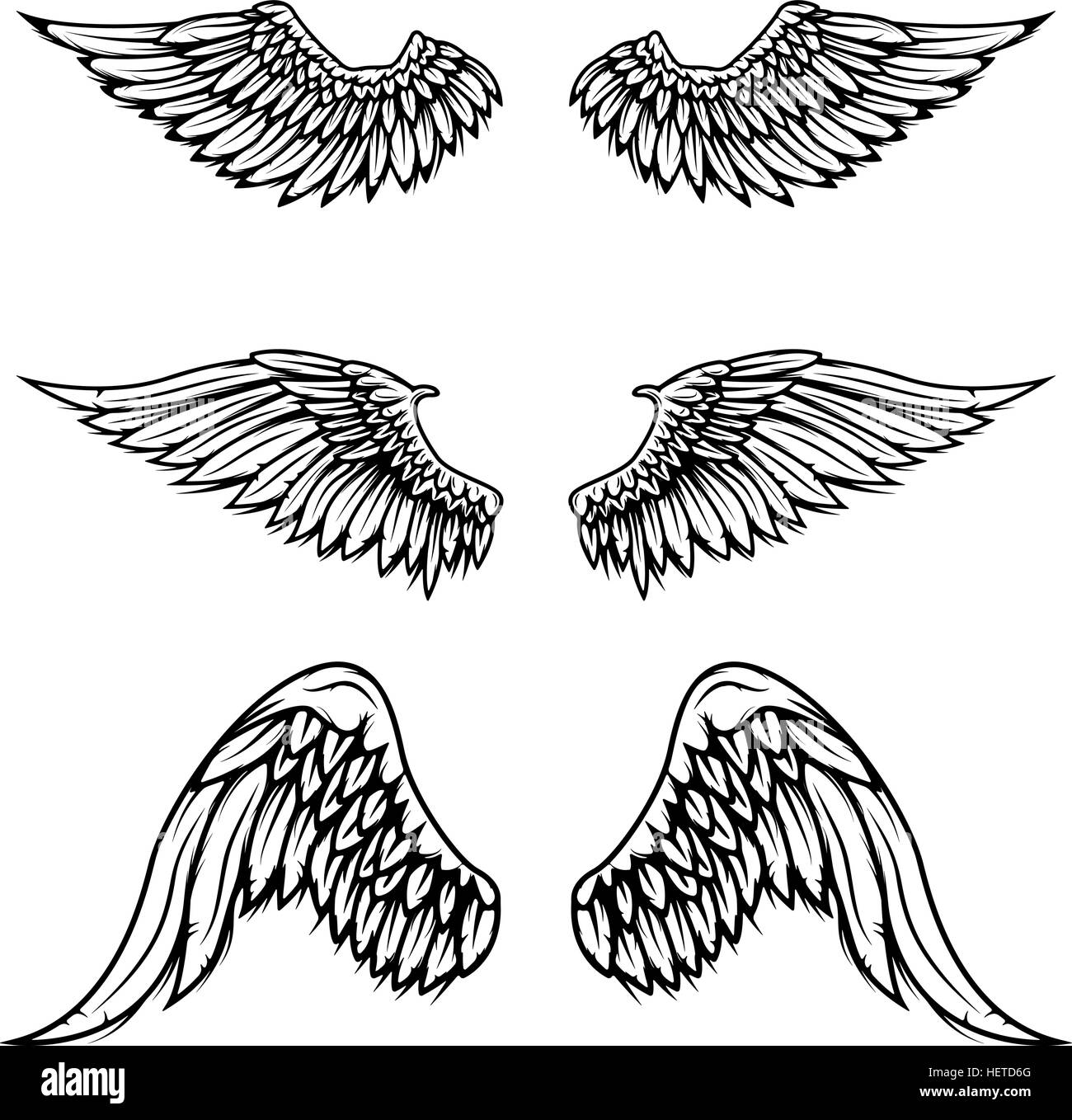 Set of vintage vector wings isolated on white background. Design Stock Vector