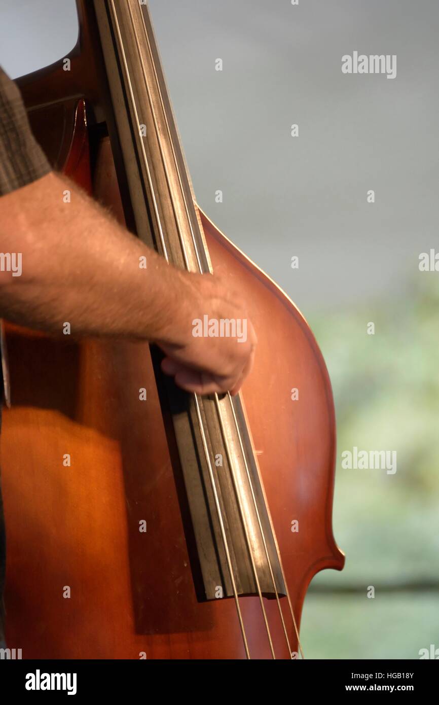 Upright Bass Player Stock Photo