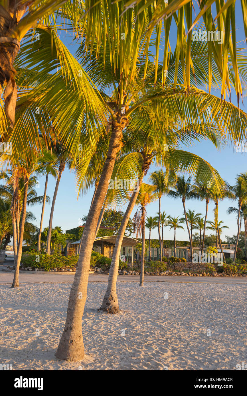 SAND BEACH RED FISH GRILL RESTAURANT MATHESON HAMMOCK COUNTY PARK MIAMI FLORIDA USA Stock Photo