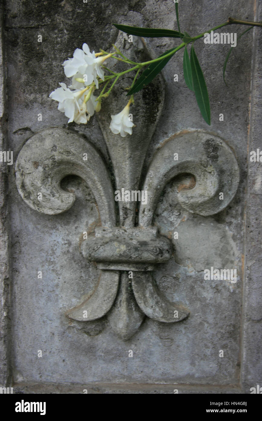 Fleur De Lis Italy Stock Photo