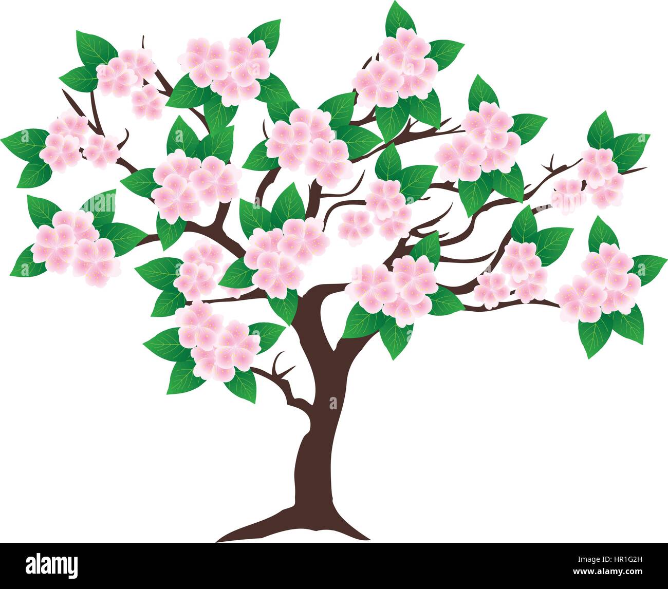 Apple Tree Blossoms Clip Art