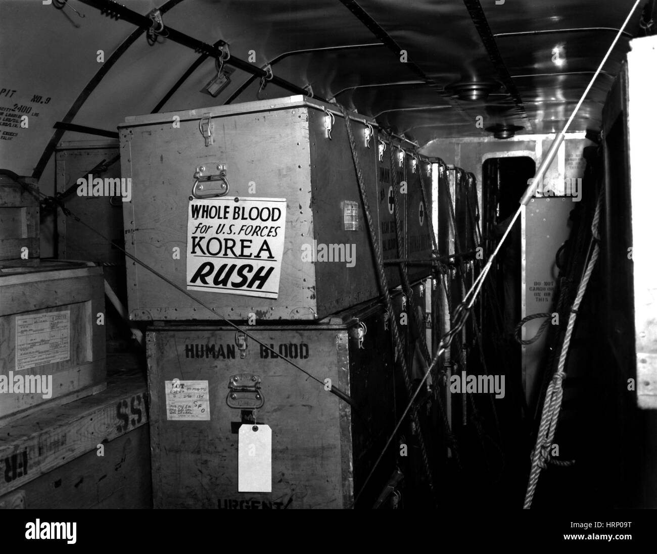 Korean War, Blood Shipment to Korea, 1950 Stock Photo