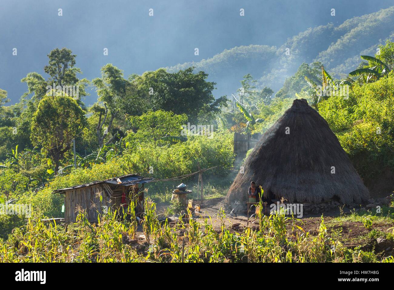 Indonesia, East Nusa Tenggara, West Timor, South Central Timor Regency, Nuapin, Timorese tradinional house called Lopo Stock Photo