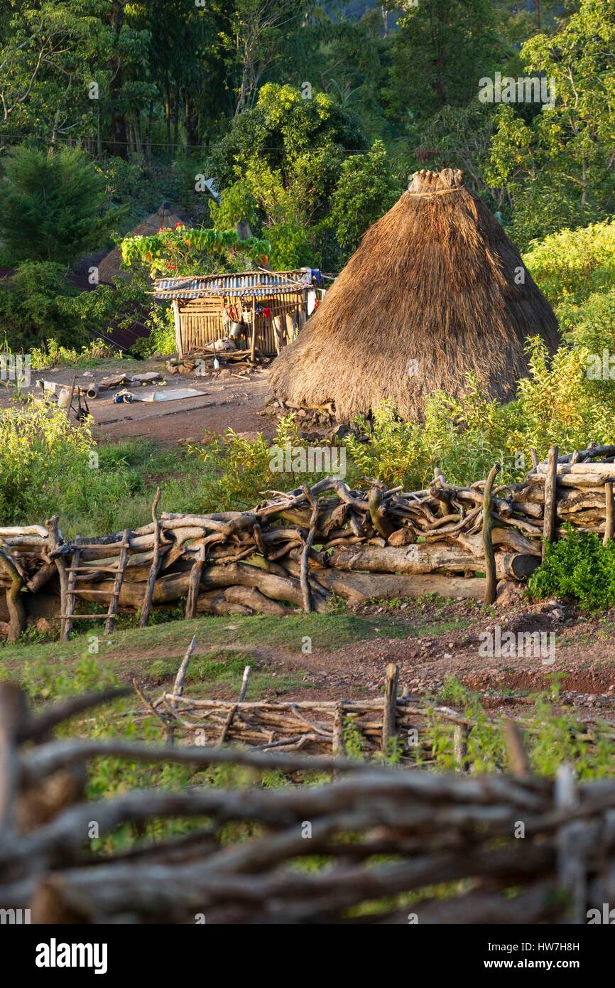 Indonesia, East Nusa Tenggara, West Timor, South Central Timor Regency, Nuapin, Timorese tradinional house called Lopo Stock Photo