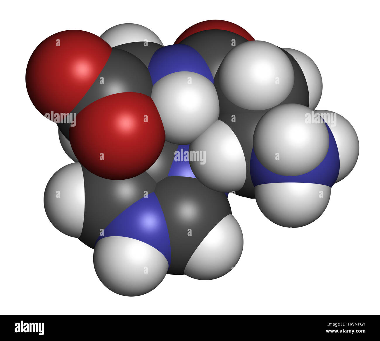 Carnosine (L-carnosine) food supplement molecule. 3D rendering. Atoms are represented as spheres with conventional color coding: hydrogen (white), car Stock Photo