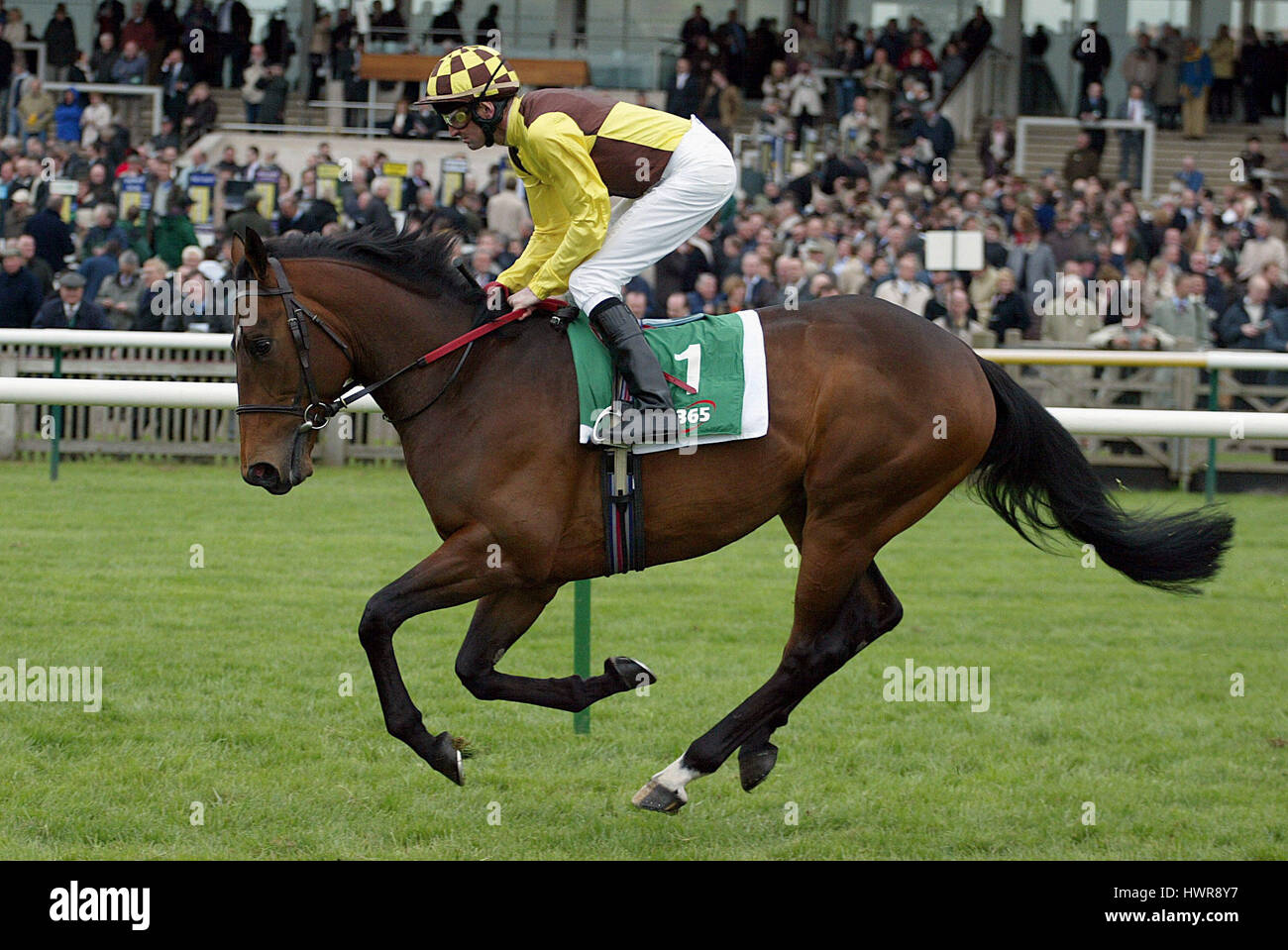 DEMOCRATIC DEFICIT RIDDEN BY K.J.MANNING NEWMARKET NEWMARKET RACECOURSE 14 April 2005 Stock Photo