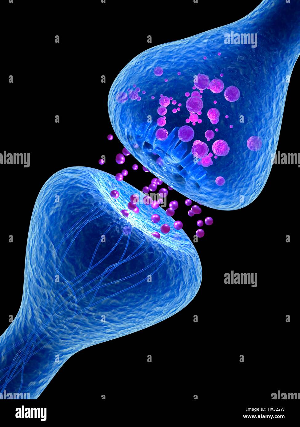 Synapse Neuron 3d