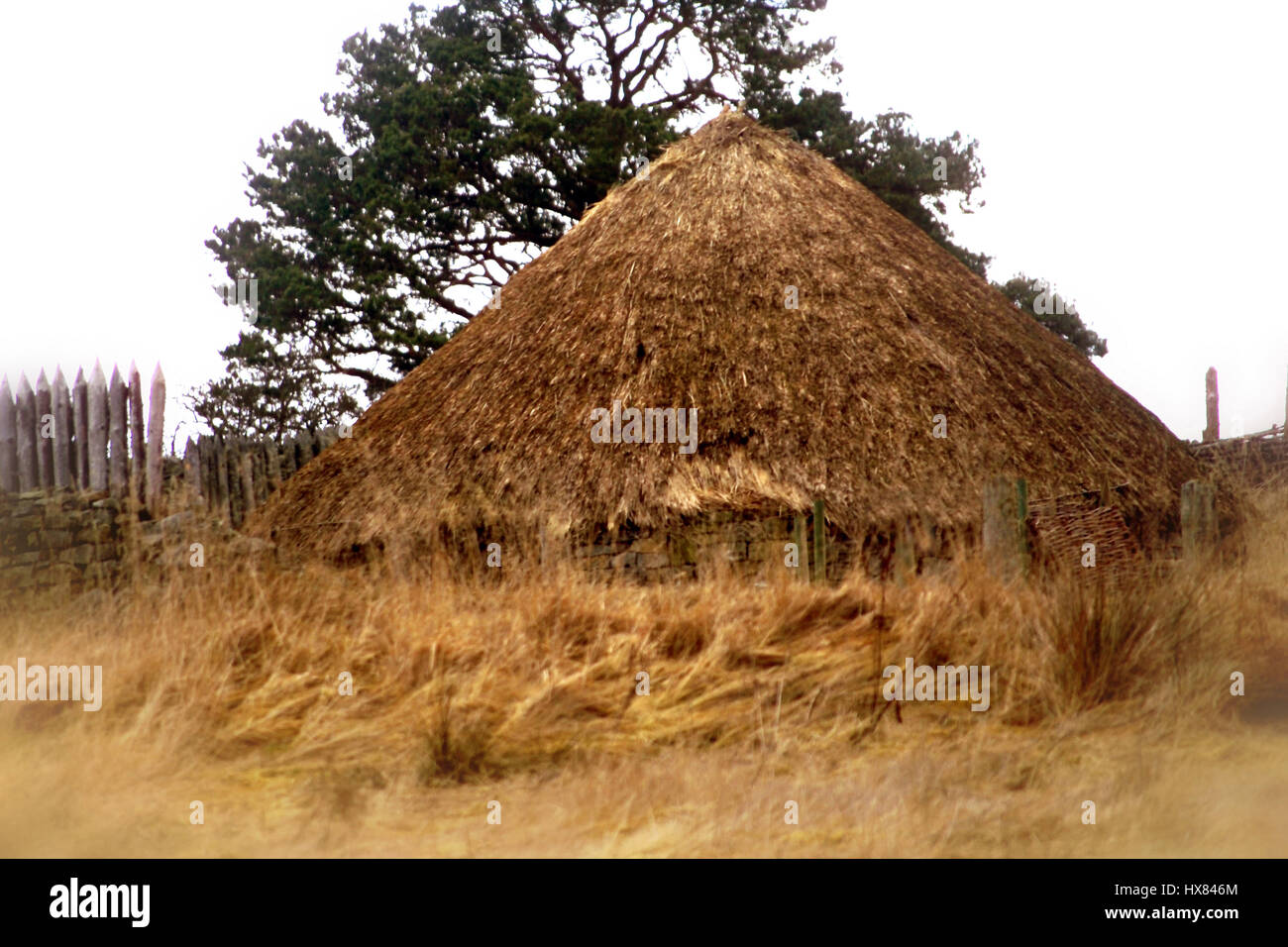 Woolaw fortified farmstead, Rochester, Northumberland Stock Photo