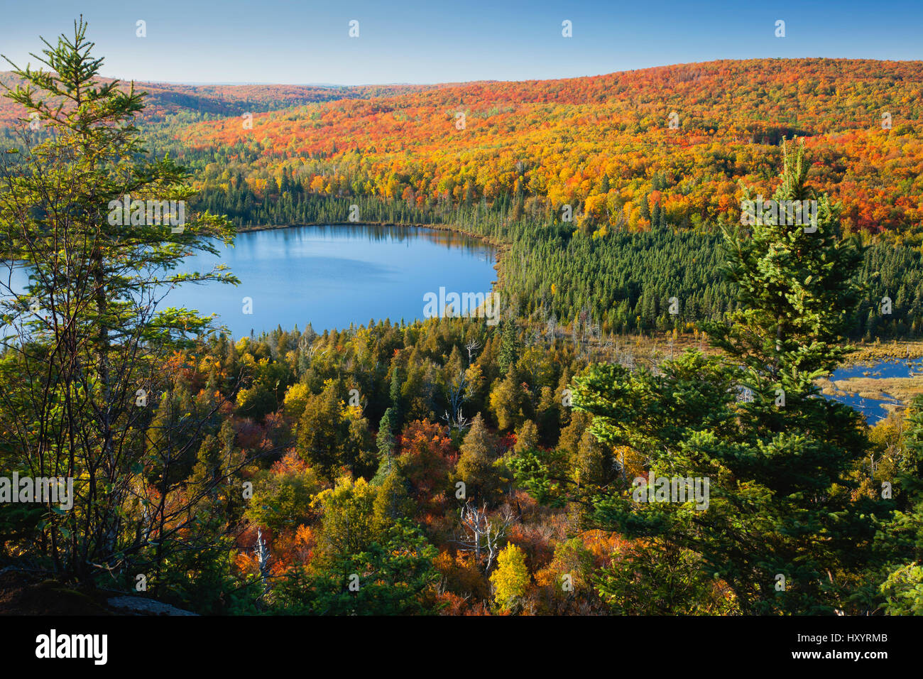 Lake Oberg in northern Minnesota surrounded by blazing autumn color Stock Photo