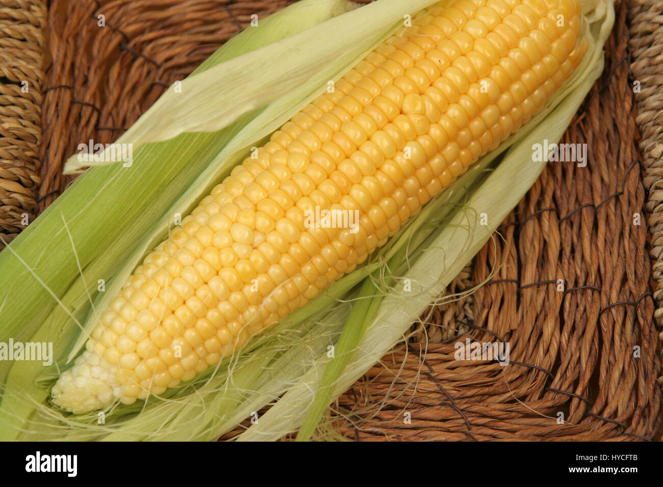 Corn cob. Fresh corn cob. Stock Photo