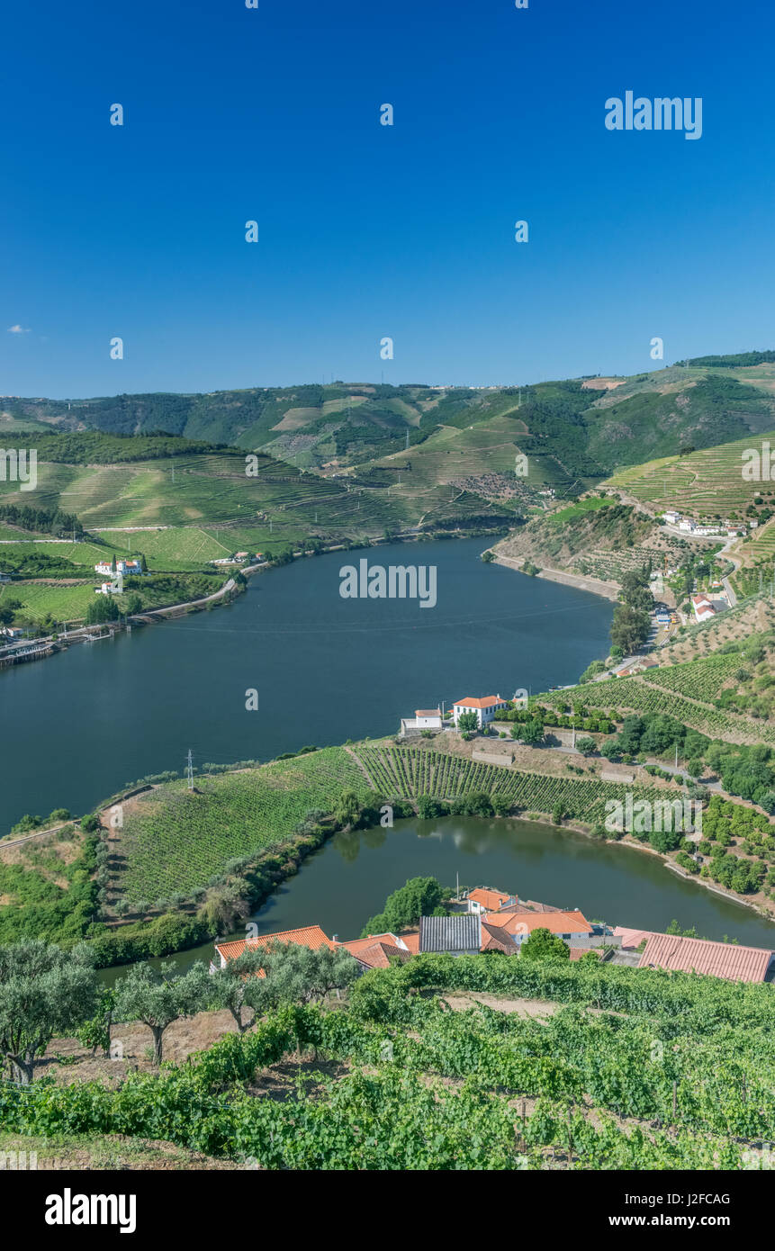 Portugal, Douro Valley, Douro River and Hillside Vineyards (Large format sizes available) Stock Photo