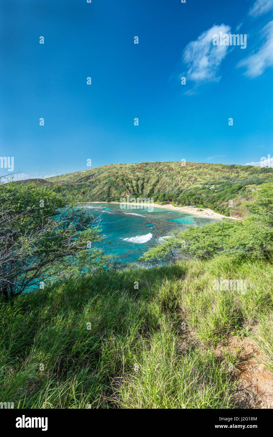 USA, Hawaii, Oahu, Hanauma Bay (Large format sizes available) Stock Photo