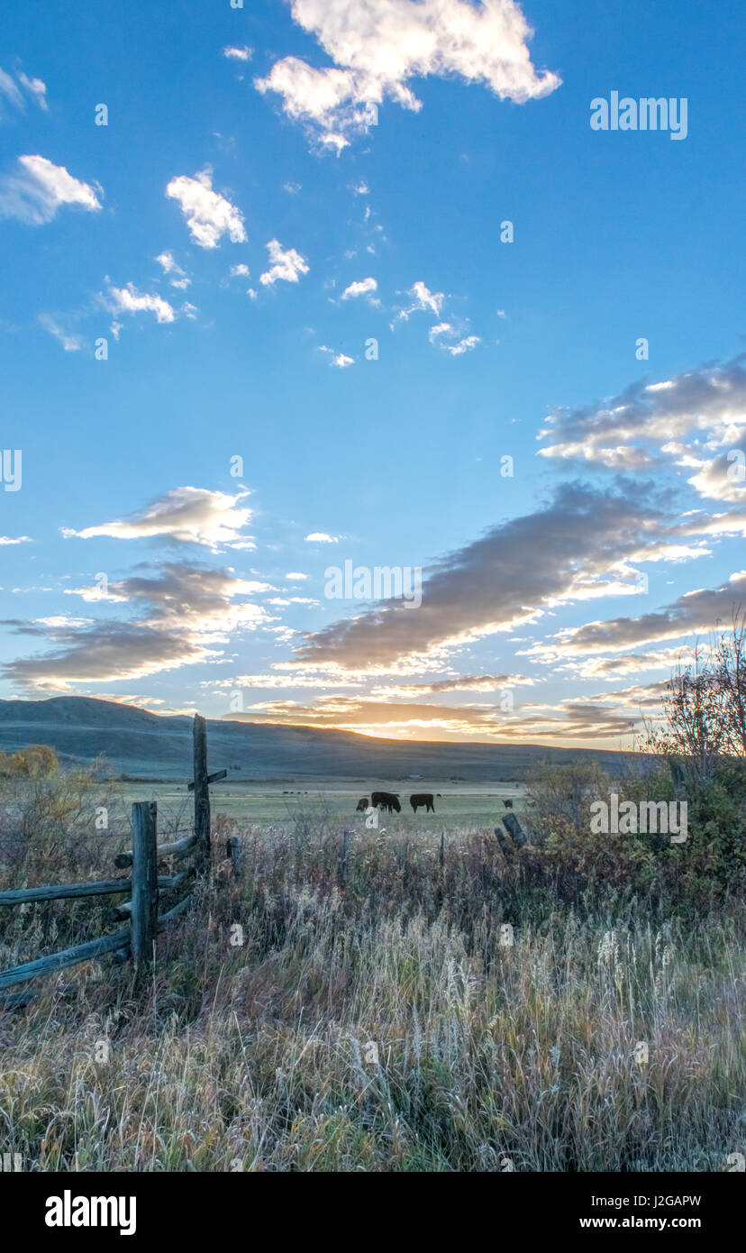 Usa, Colorado, near Gunnison, Ranch Sunrise (Large format sizes available) Stock Photo