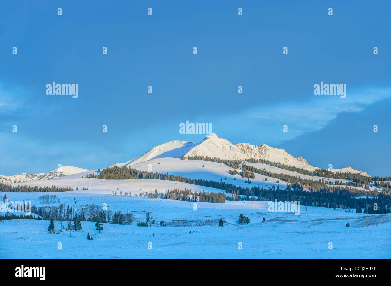 USA, Wyoming, Yellowstone National Park, First Light at Swan Lake Flats (Large format sizes available) Stock Photo