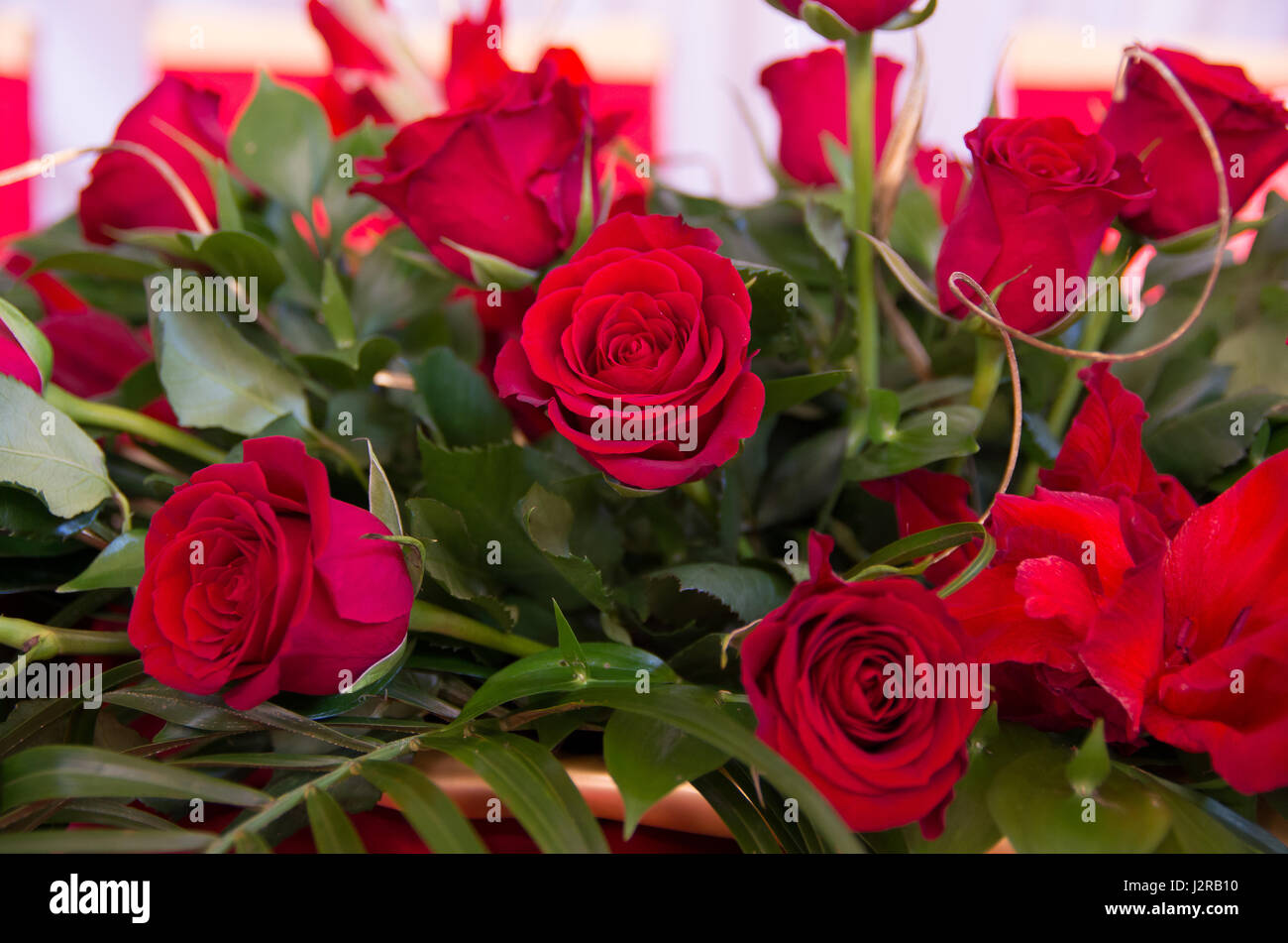 Bouquet of roses and red lily for festive table close-up Stock Photo