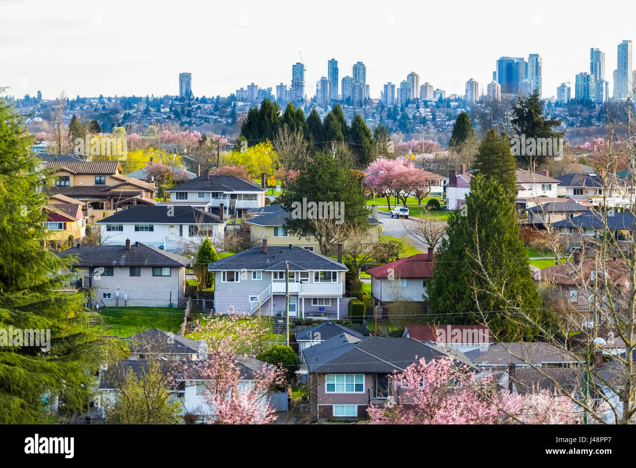 North Burnaby Suburbs With A View Of Downtown Burnaby In The Background As Shown In Early Spring, A Part Of The Greater Vancouver Area And A Focal ... Stock Photo