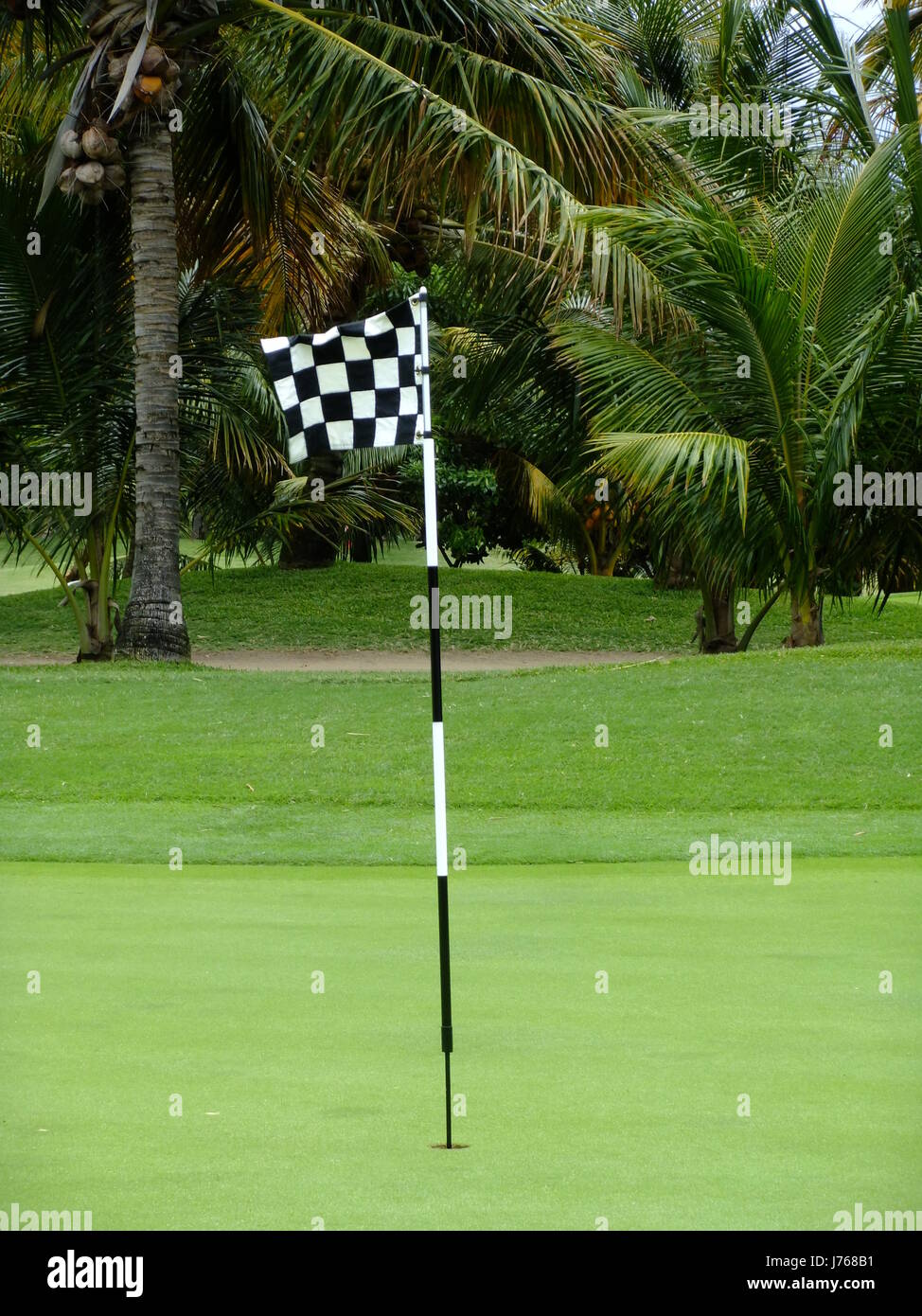 flag aim goal gulf chequered golf tea spare time free time leisure leisure time Stock Photo