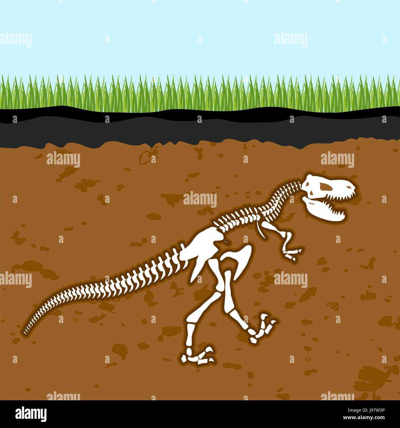 Skeleton of  Tyrannosaurus Rex. Dinosaur bones in Earth. Fossil Ancient fearsome animal. Slice through  soil. archaeological excavations. Prehistoric  Stock Vector