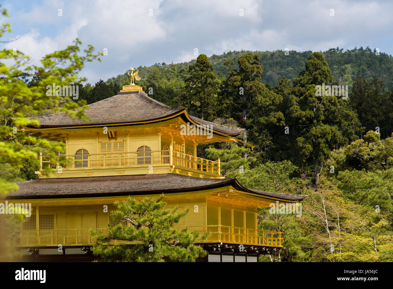 Golden Pavilion, Kyoto, Japanese architecture. Mirror Pond. Typical Japanese garden and architecture. Stock Photo