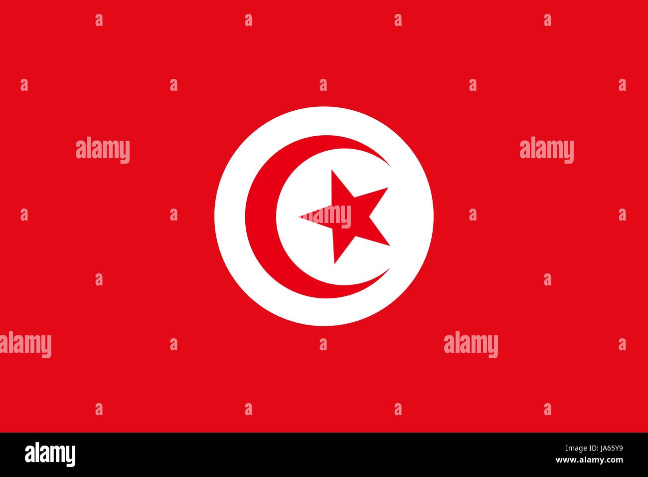 Flag of Tunisia Stock Vector