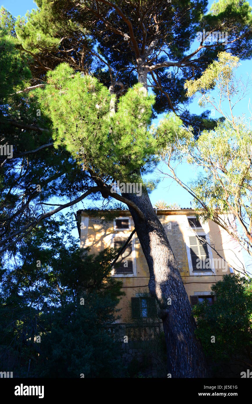 spain,mallorca,valldemossa,kastilisch valldemosa,monastery,cartuja Stock Photo