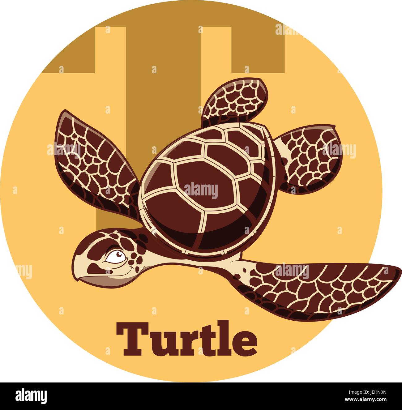 ABC Cartoon Turtle Stock Vector