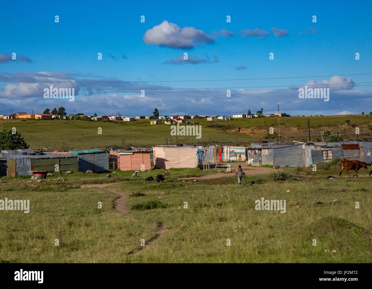 Houses and huts in the Eastern Cape of South Africa during summertime Stock Photo