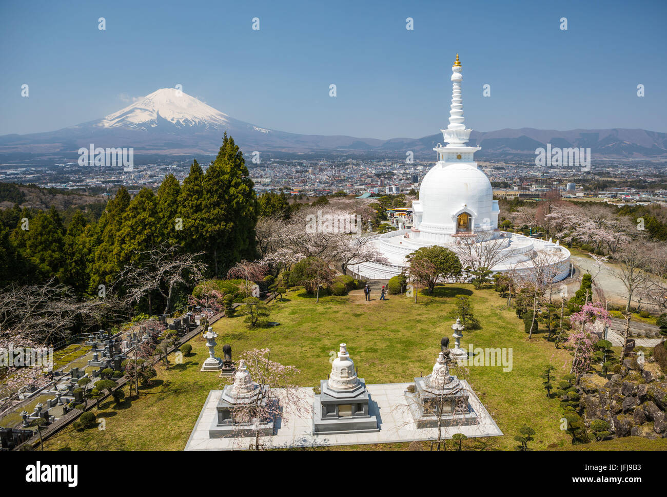 Japan, Gotemba City, Budist Temple and Mount Fuji, Chery Blossoms Stock Photo