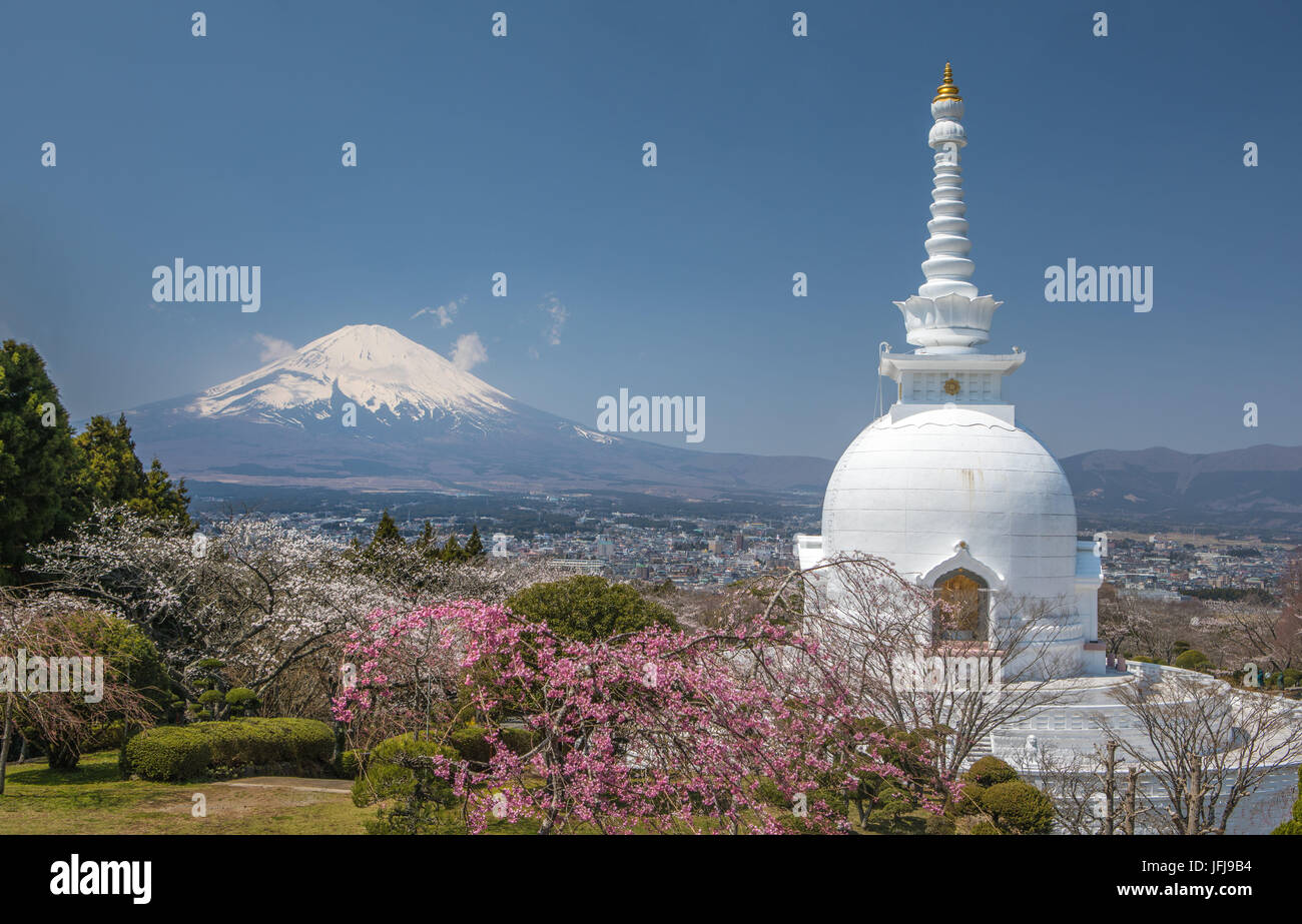 Japan, Gotemba City, Budist Temple and Mount Fuji, Chery Blossoms Stock Photo