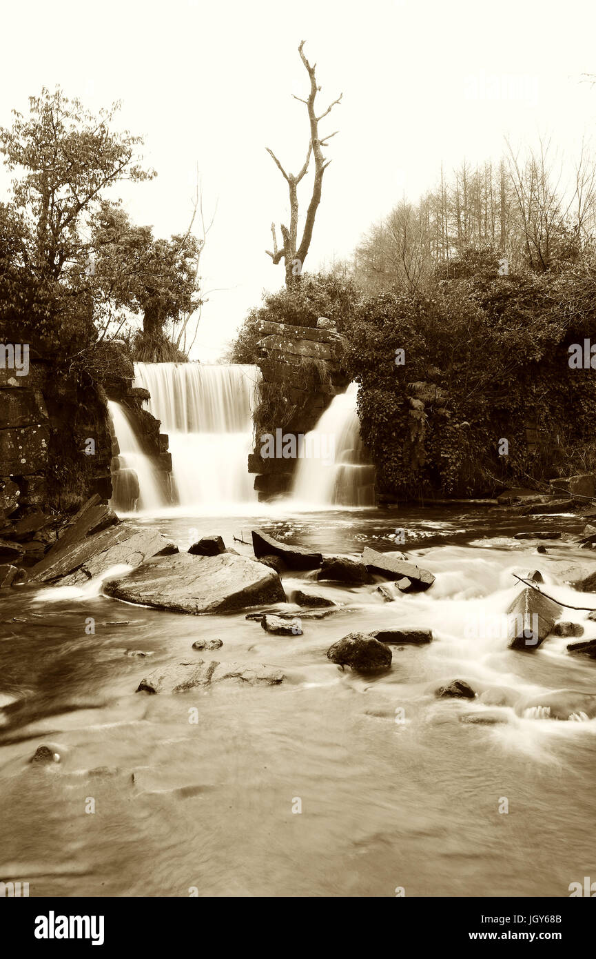 Man-made waterfall at the Penllegaer Valley Woods, near Swansea. Stock Photo