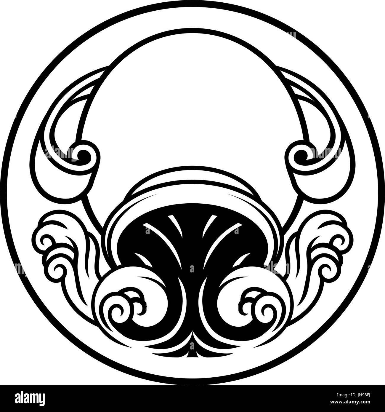 Aquarius Horoscope Birth Sign Stock Vector