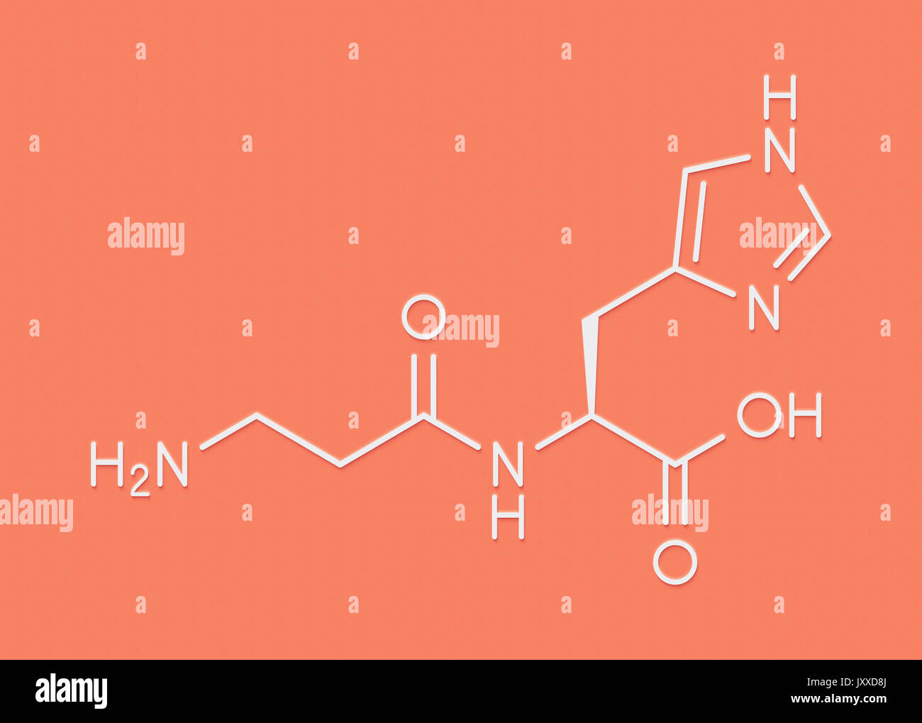 Carnosine (L-carnosine) food supplement molecule. Skeletal formula. Stock Photo