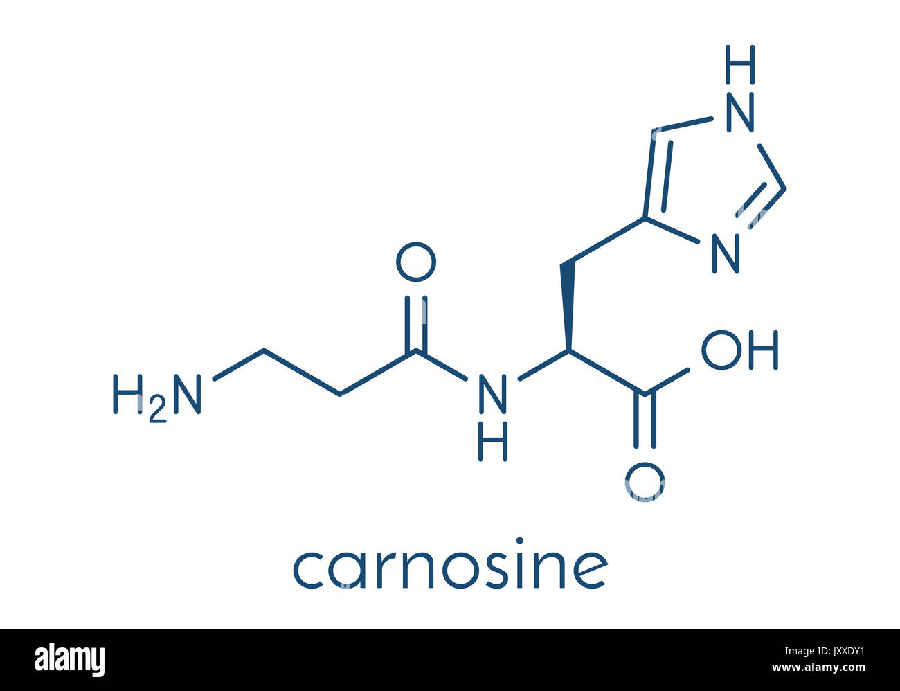 Carnosine (L-carnosine) food supplement molecule. Skeletal formula. Stock Photo