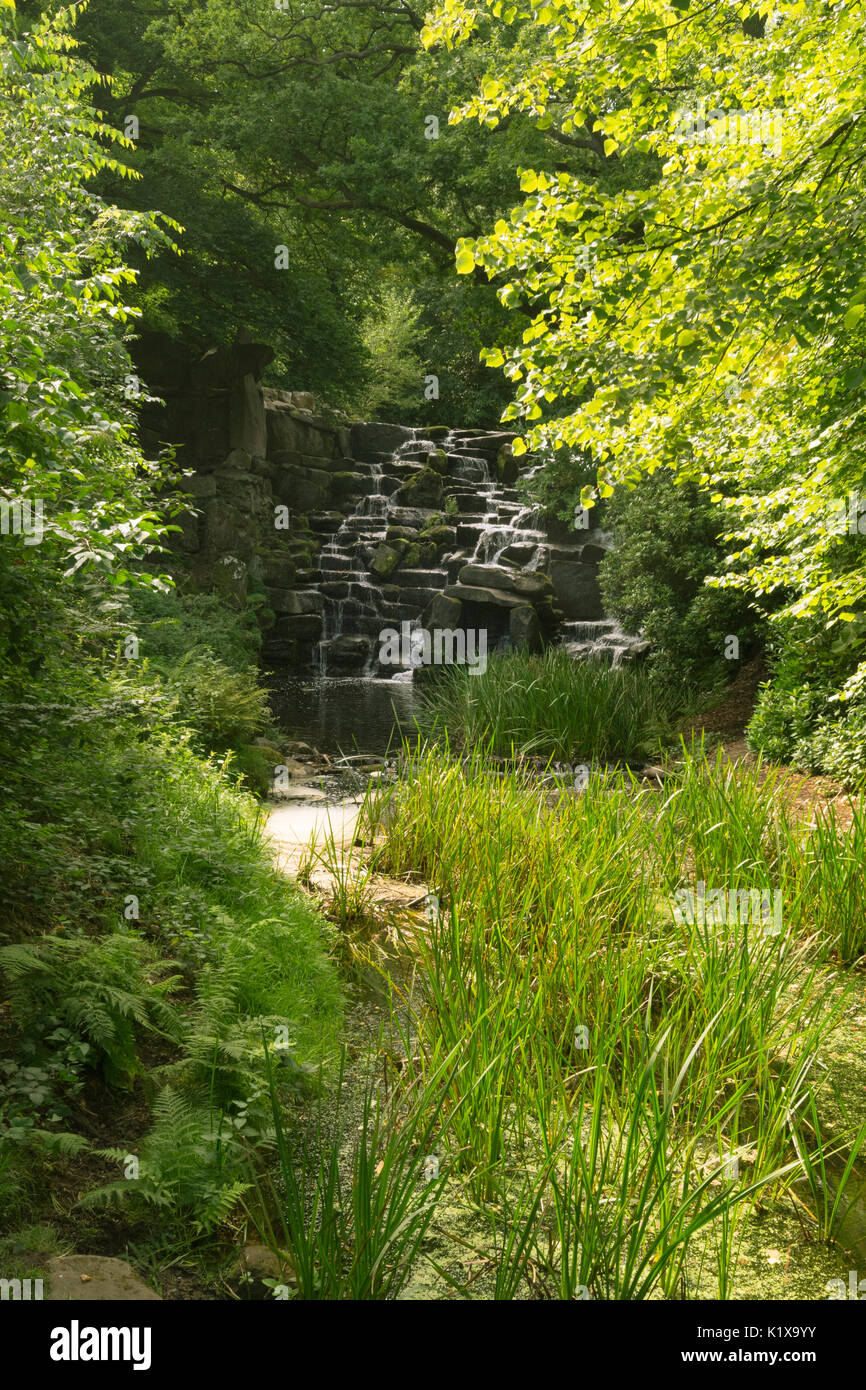 View of the cascade, a man-made waterfall, through the trees at Virginia Water in Surrey, UK Stock Photo